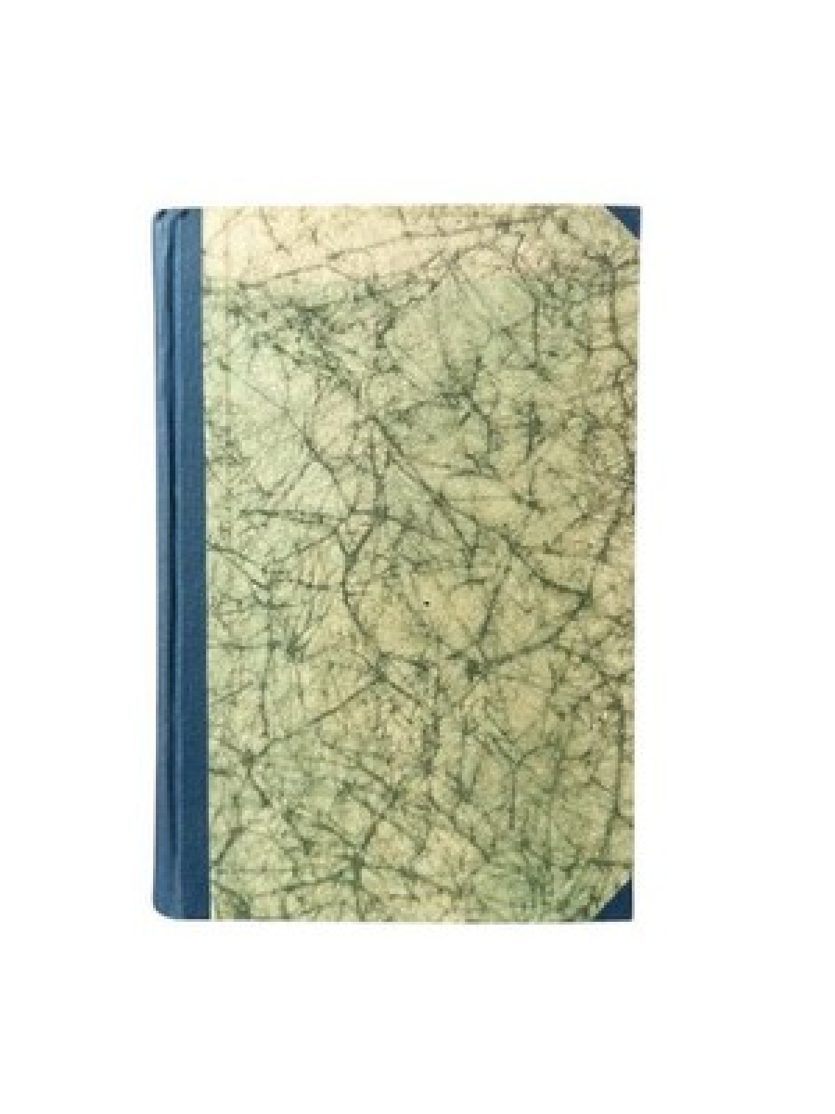 Die goldene Spange - Ein Roman aus Altösterreich Von Eichthal, Rudolf: