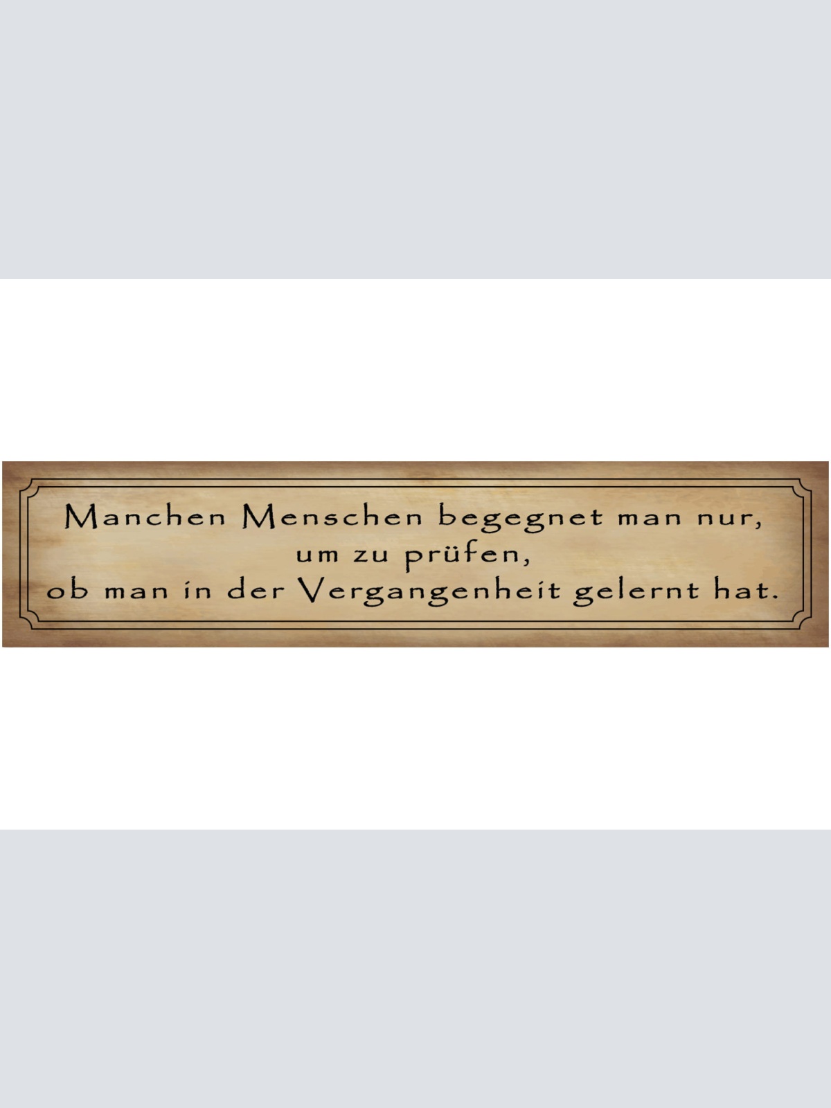 Schild Menschen Begegnung Vergangenheit Leben Lernen Test 46 x 10 Blech od. Holz