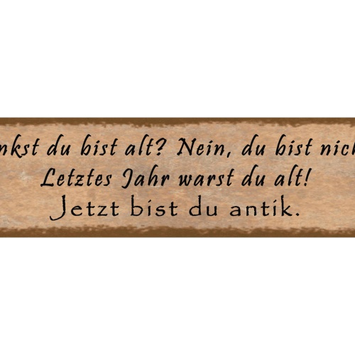 Schild Mich Finanziell Leisten Teuer Geld Kostbar Liebe 46 x 10 Blech od. Holz