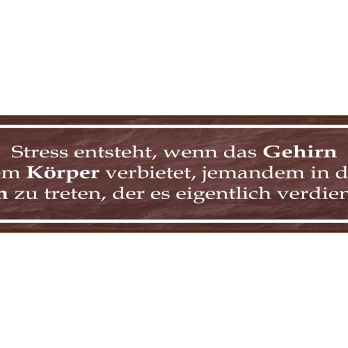 Schild Stress Entsteht Gehirn Hintern Tritt Ärger Frust 46 x 10 Blech od. Holz