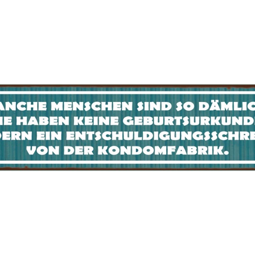 Schild Menschen Dämlich Dumm Geburt Entschuldigung Kondom 46 x 10 Blech od. Holz