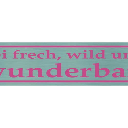 Schild Frech Wild Wunderbar Keck Crazy Schön Charakter 46 x 10 Blech od. Holz