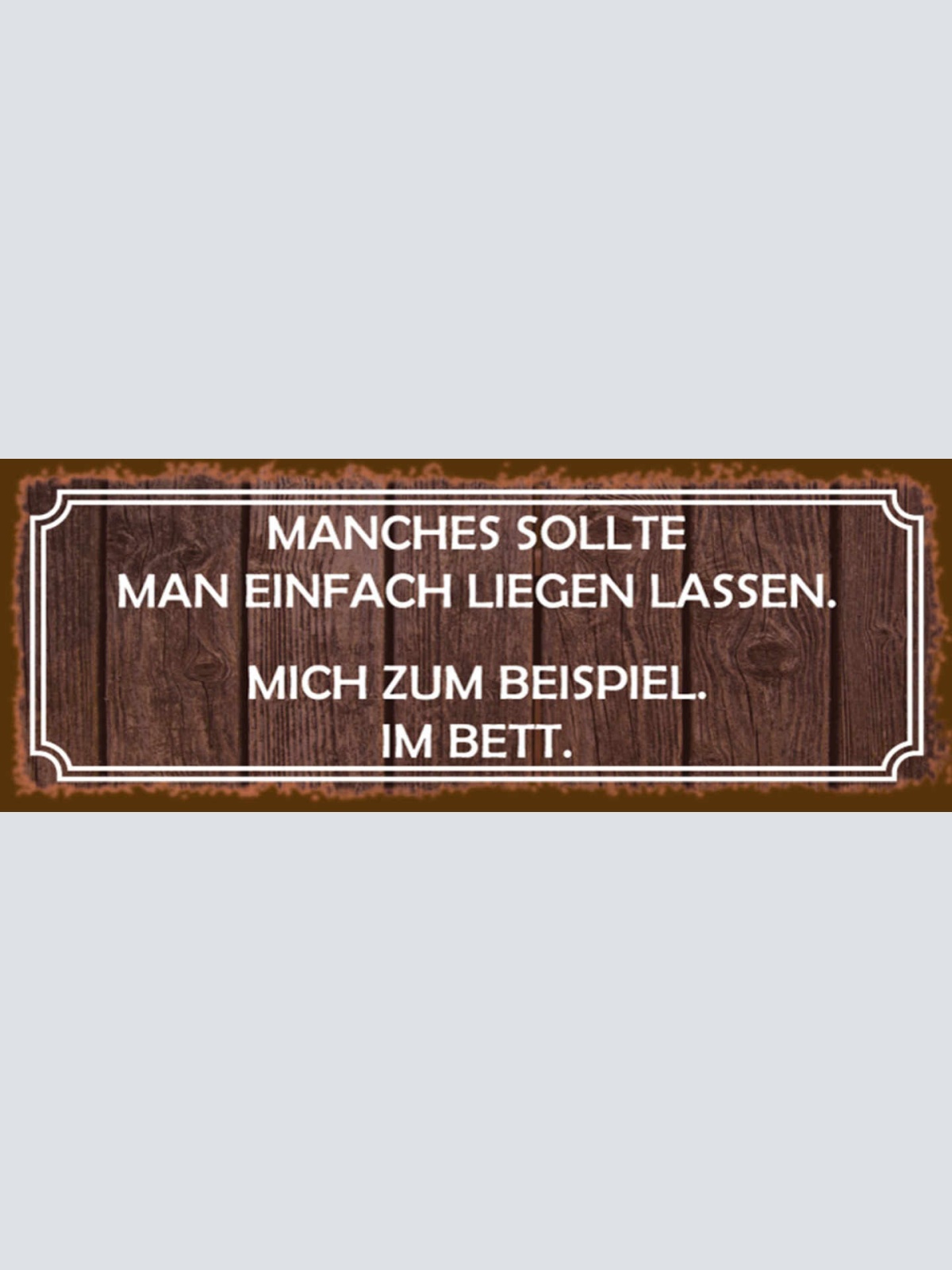 Schild Manches Sollte Man Liegen Lassen Mich Zum Beispiel Im Bett 27x10
