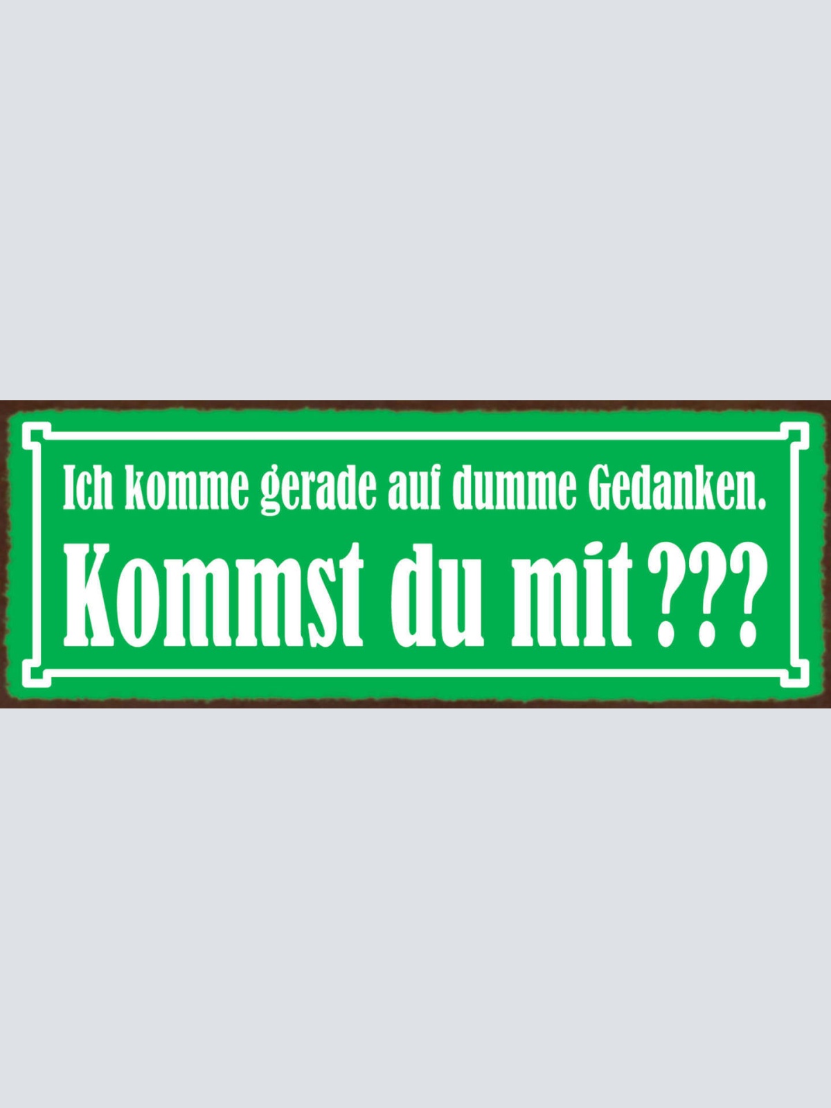 Schild Ich Komme Gerade Auf Dumme Gedanken Kommst Du Mit 27x10 Blech od.Holz