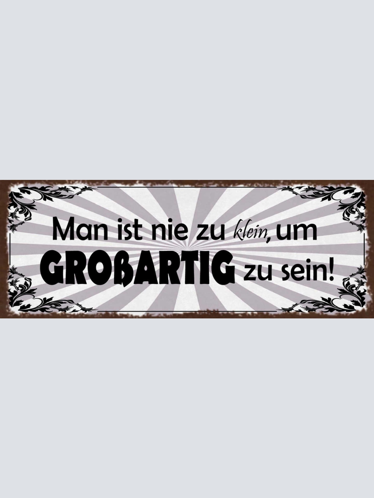 Schild Man Ist Nie Zu Klein Um Großartig Zu Sein Größe 27x10 Blech od.Holz