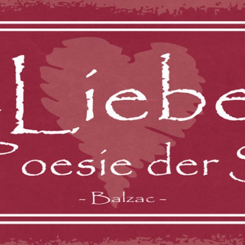 Schild Liebe Ist Die Poesie Der Sinne Balzac Gedicht Zitat 27x10 Blech od.Holz