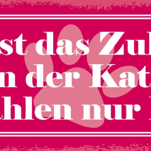 Schild Das Ist Das Zuhause Von Der Katze Wir Zahlen Nur Miete 27x10Blech od.Holz