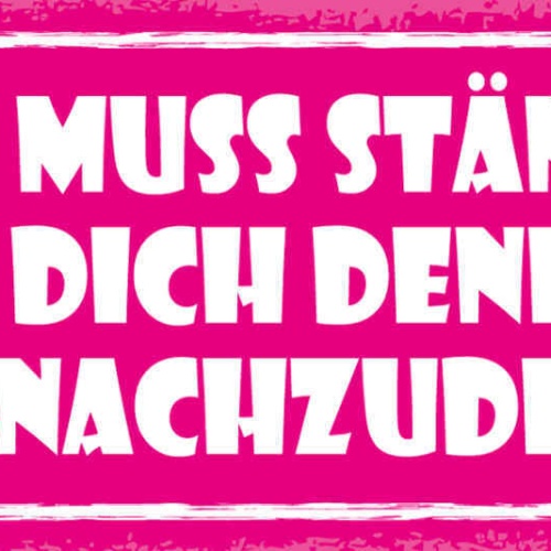 Schild Ich Muss Ständig An Dich Denken Ohne Nachzudenken 27x10 Blech od.Holz