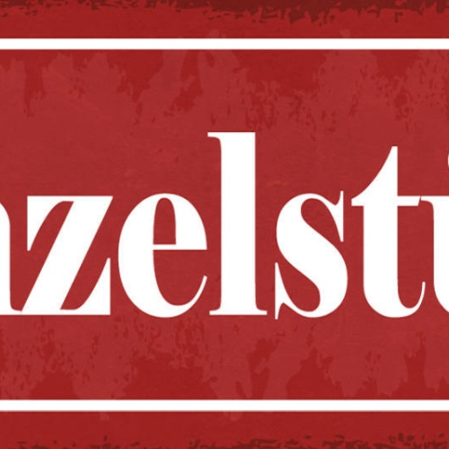 Schild Einzelstück Einzigartig Einmalig Unikat 27x10 Blech od.Holz