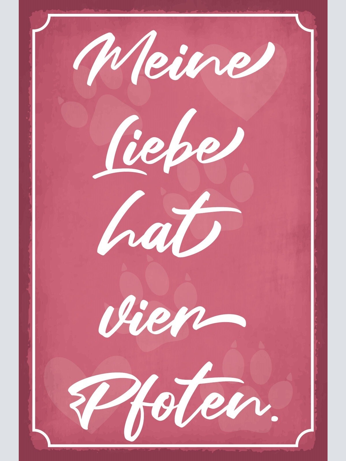 Schild Liebe Vier Pfoten Tier Katze Hund 12x18 / 20x30 / 30x40 Blech od. Holz