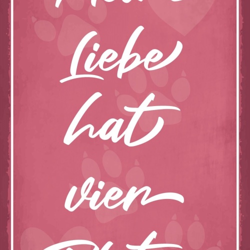 Schild Liebe Vier Pfoten Tier Katze Hund 12x18 / 20x30 / 30x40 Blech od. Holz