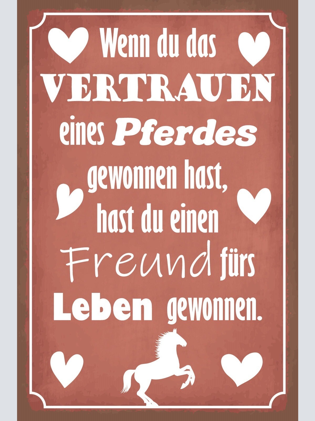 Schild Vertrauen Pferd Freund Leben Tier 12x18 / 20x30 / 30x40 Blech od. Holz