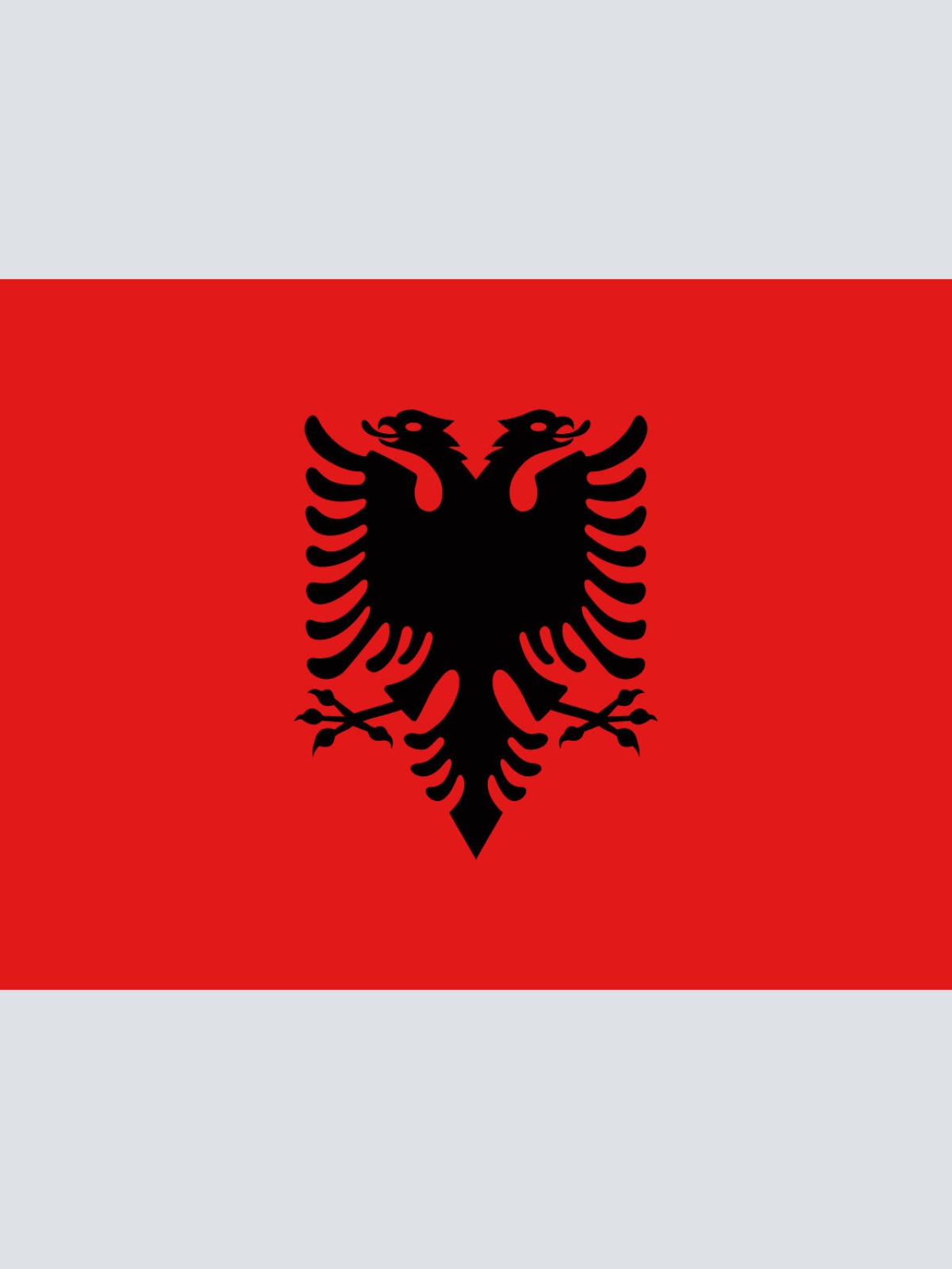 Schild Flagge Albanien Albanische Fahne 12x18 / 20x30 / 30x40 Blech od. Holz