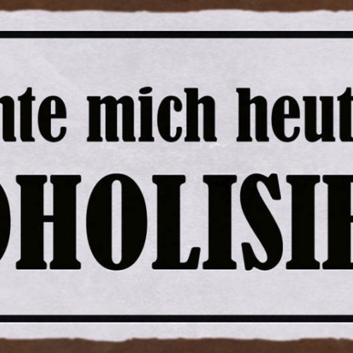 Schild Ich Möchte Mich Heute Dezent Alkoholisieren Alkohol 27x10 Blech od.Holz
