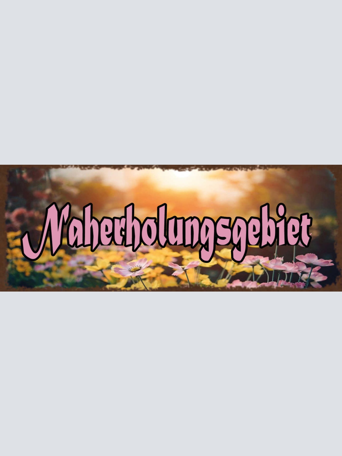 Schild Naherholungsgebiet Garten Park Freizeit Erholung 27x10 Blech od.Holz