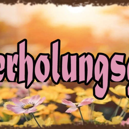 Schild Naherholungsgebiet Garten Park Freizeit Erholung 27x10 Blech od.Holz