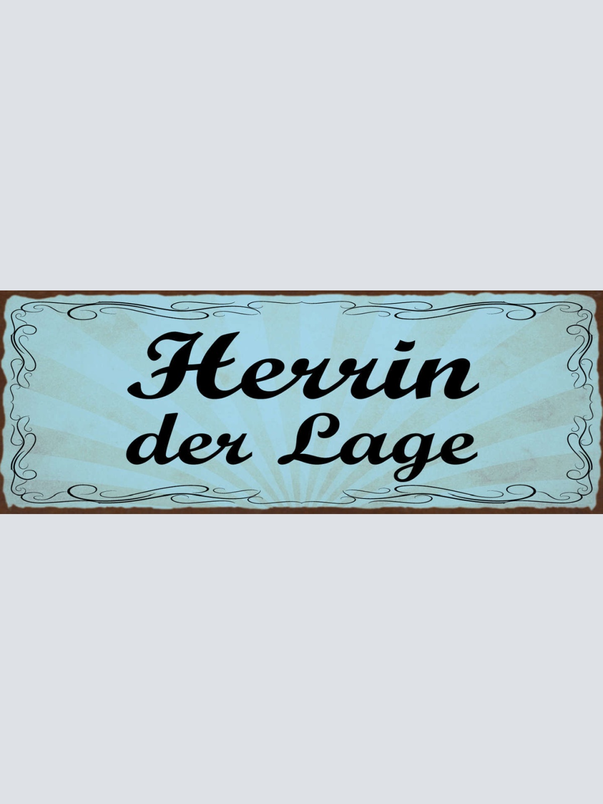 Schild Herrin Der Lage Situation Sache Im Griff In Kontrolle 27x10 Blech od.Holz
