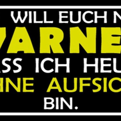 Schild Ich Will Euch Nur Warnen Dass Ich Heute Ohne Aufsicht Bin 27 x 10