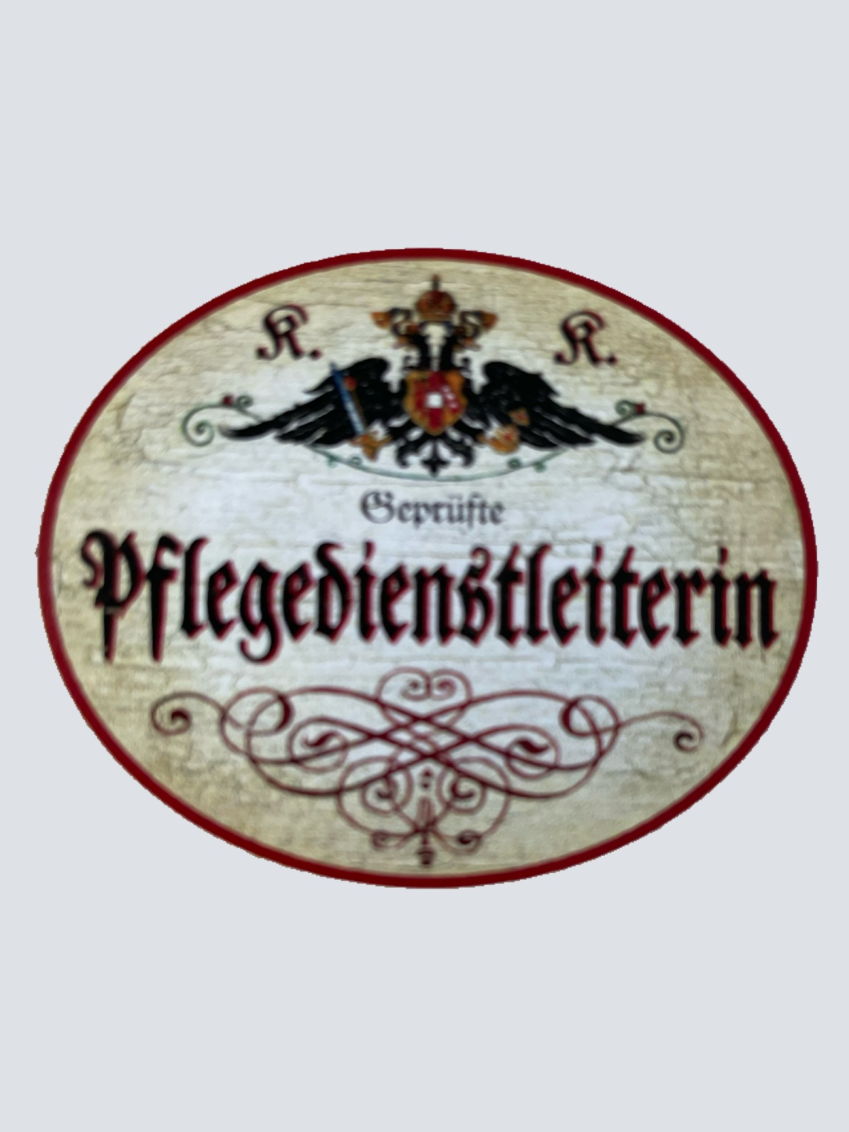 KuK Nostalgie Holzschild Geprüfte Pflegedienstleisterin Pflegerin Schild