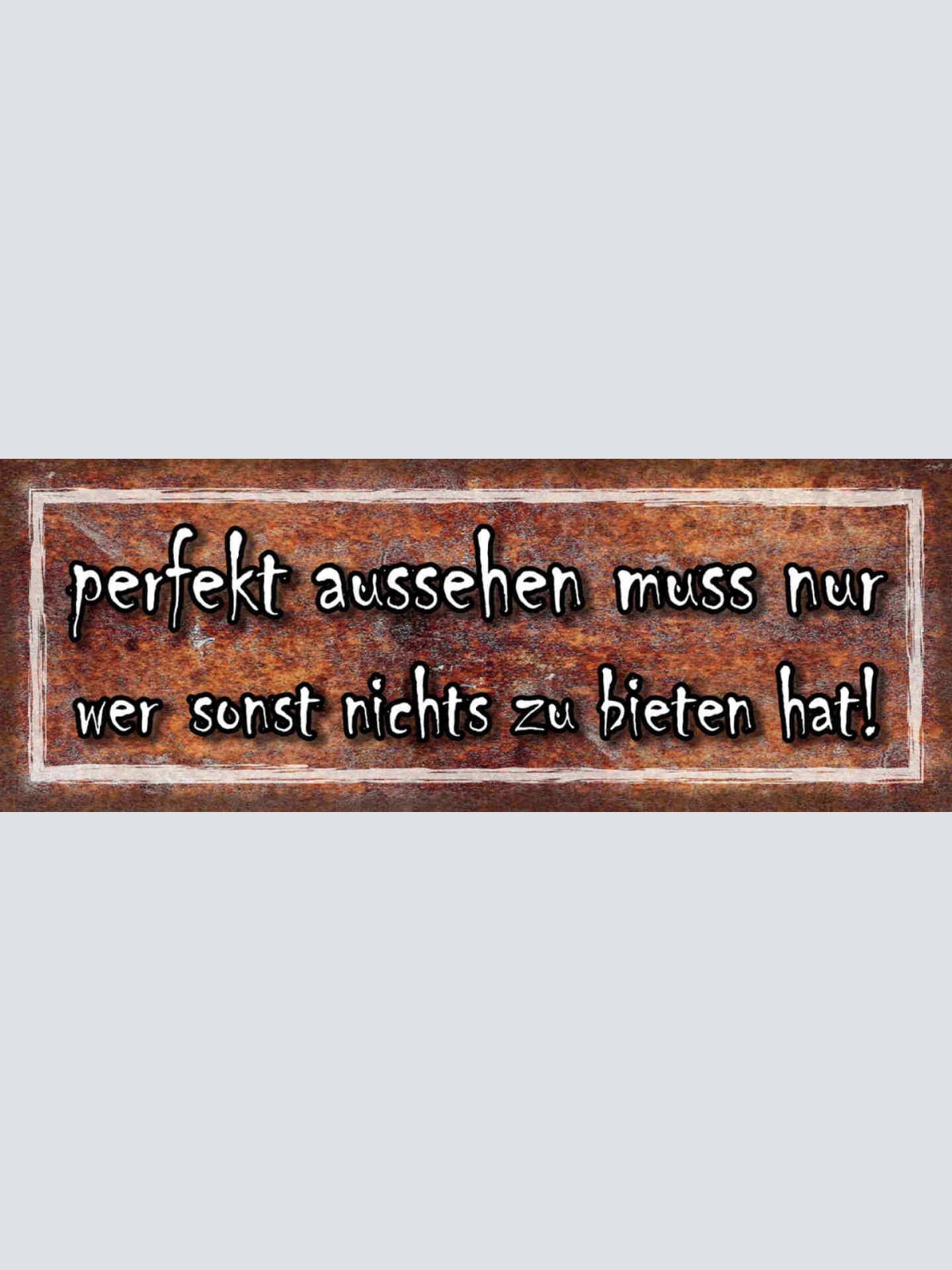 Schild Perfekt Aussehen Nur Wer Sonst Nichts Zu Bieten Hat 27x10 Blech od.Holz