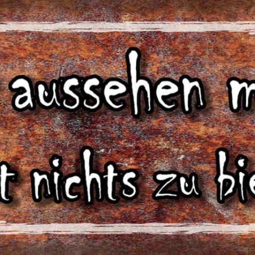 Schild Perfekt Aussehen Nur Wer Sonst Nichts Zu Bieten Hat 27x10 Blech od.Holz