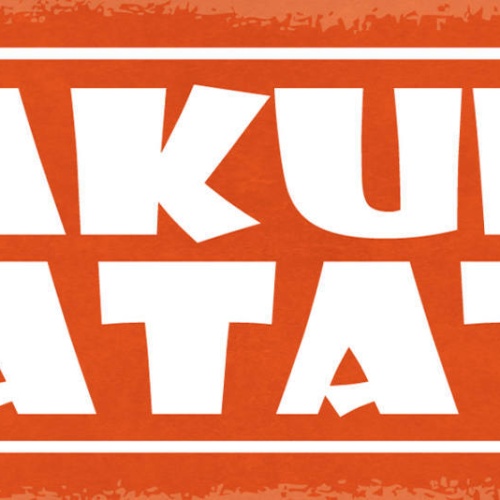 Schild Hakuna Matata Alles In Ordnung Gut Fühlen Probleme 27x10 Blech od.Holz