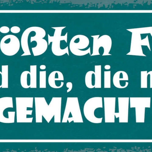 Schild Die Größten Fehler Sind Die Die Man Nie Gemacht Hat 27x10 Blech od.Holz