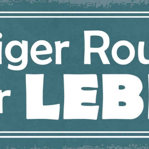 Schild Weniger Routine Mehr Leben Arbeit Freizeit Hobby 27x10 Blech od.Holz