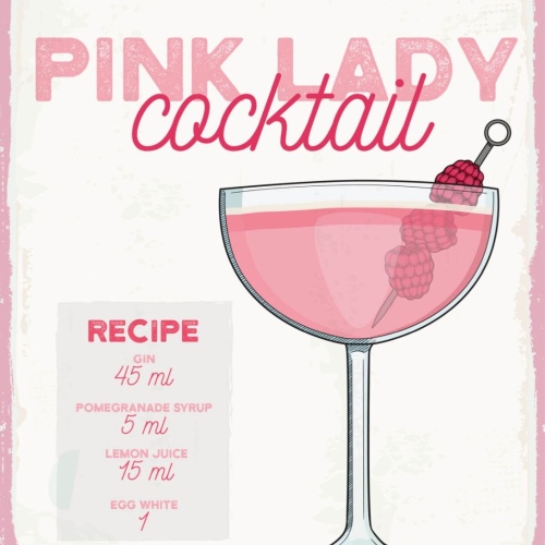 Schild Pink Lady Cocktail Rezept Bar Alkohol Drink 12x18 20x30 30x40 Blech/Holz