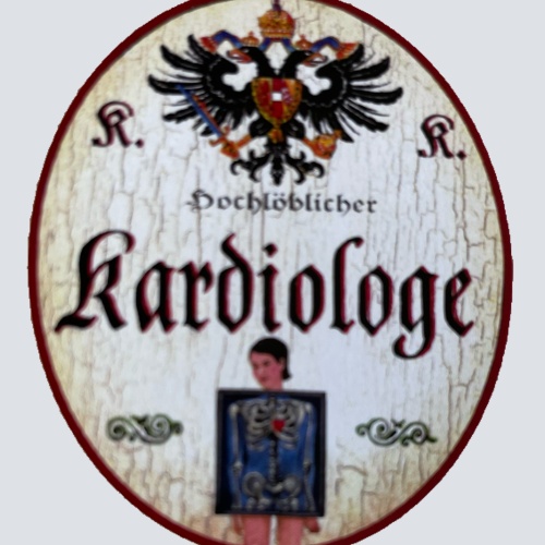 KuK Nostalgie Holzschild Hochlöblicher Kardiologe Facharzt Herz-Kreislauf Schild