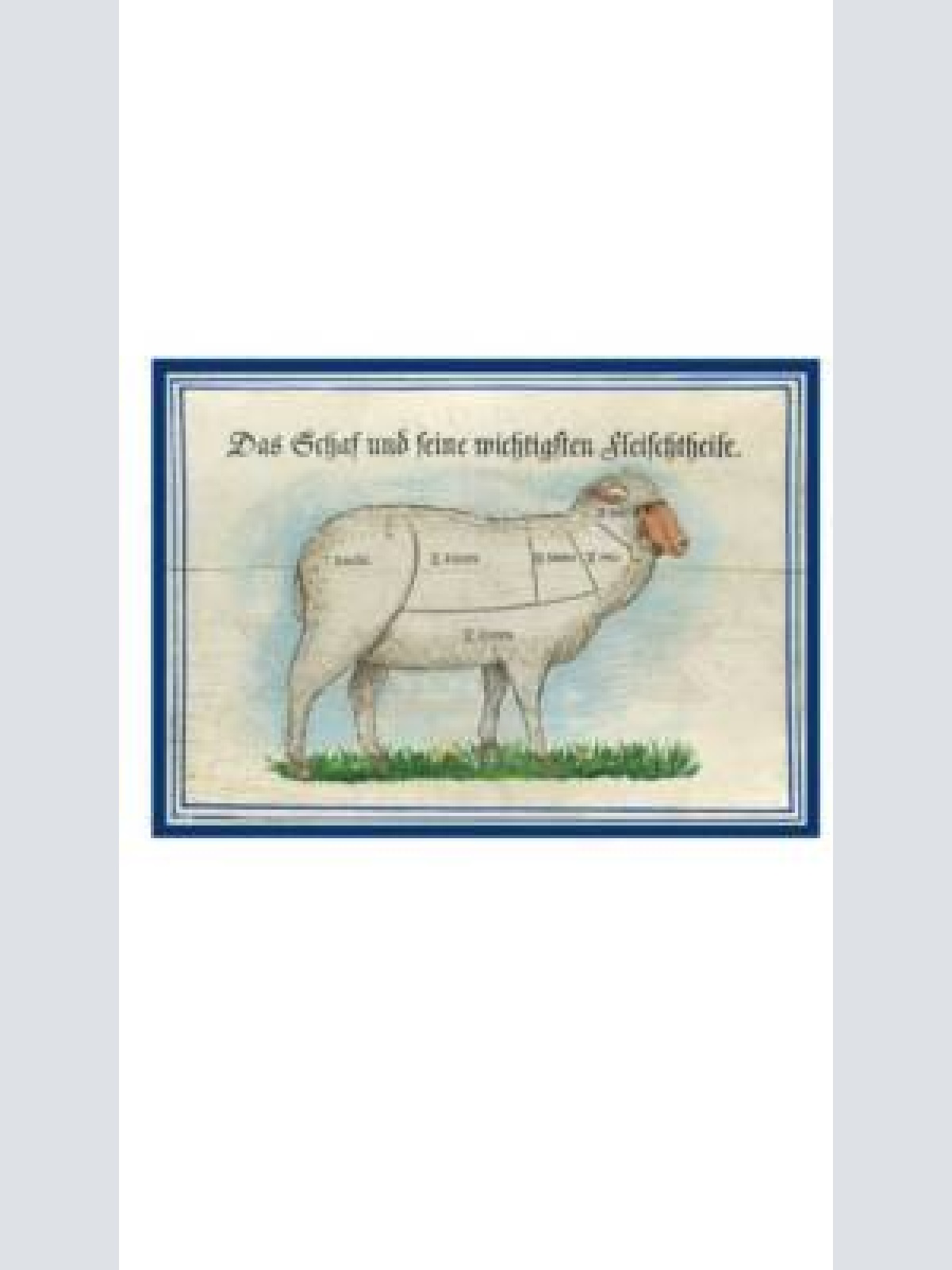 Kuk nostalgie holzschild "das schaf und seine fleischteile"
