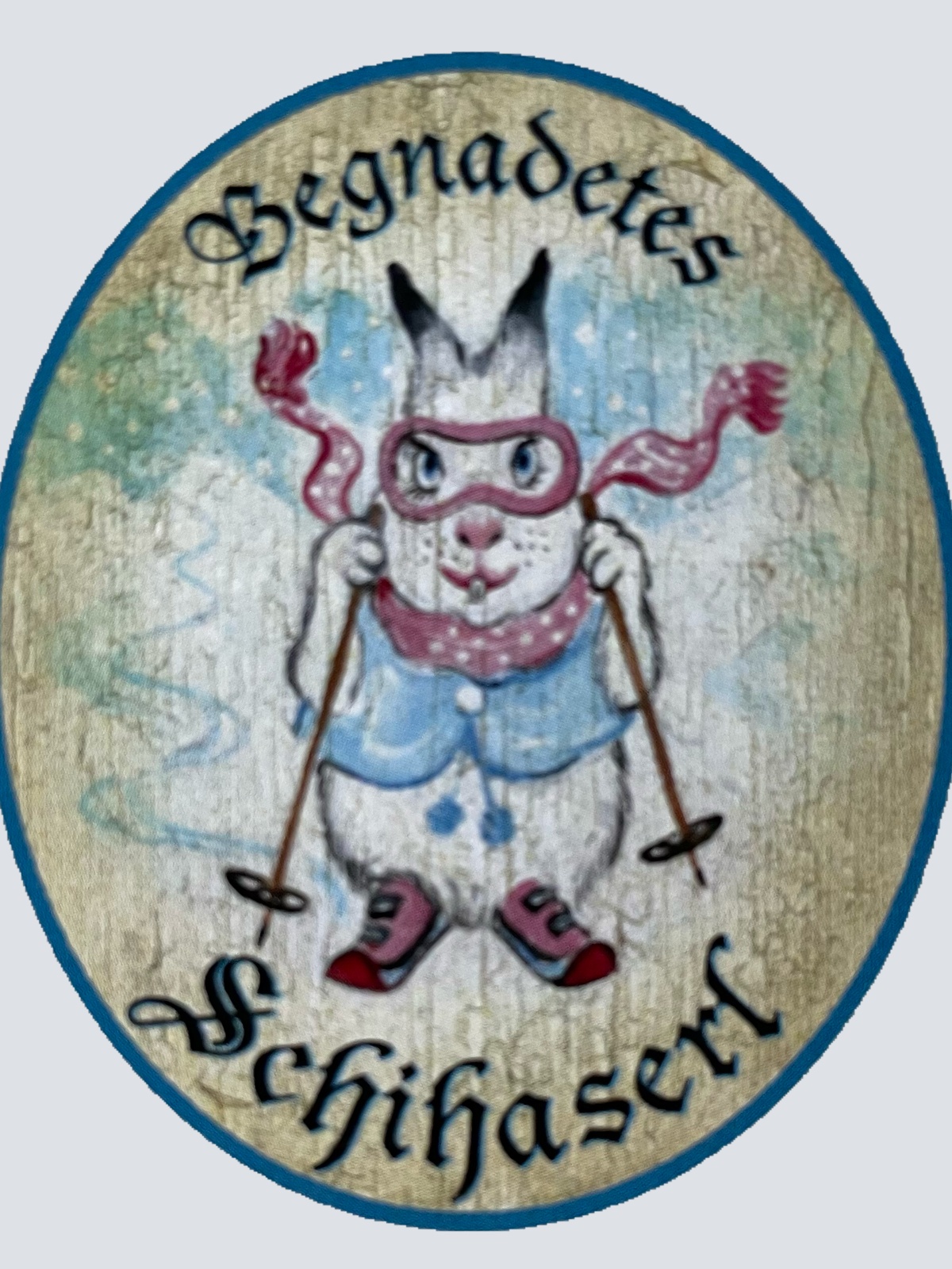 Nostalgie Holzschild Begnadetes Schihaserl Schifahren Ski Schnee Hase Schild