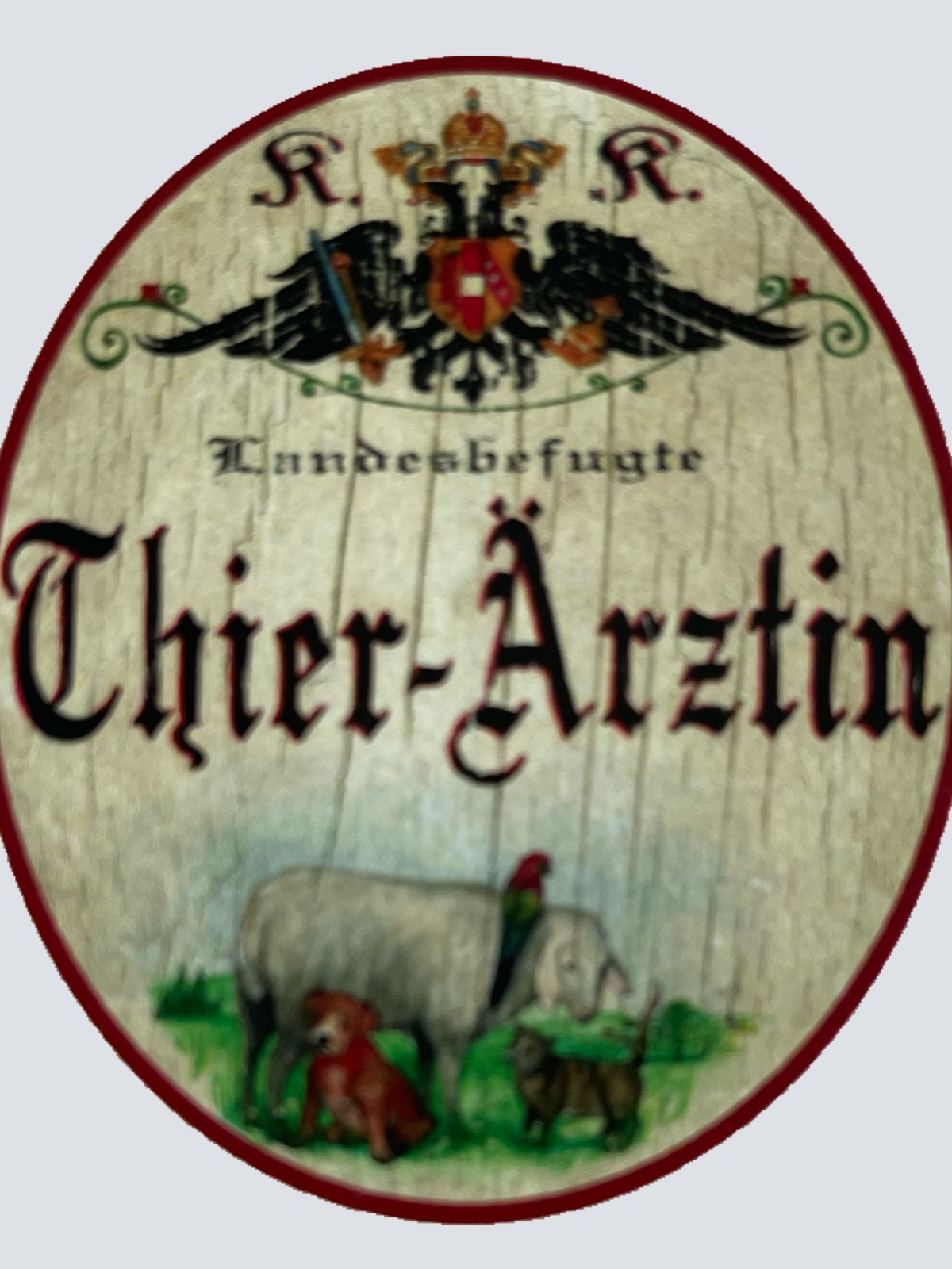 KuK Nostalgie Holzschild Landesbefugte Thier-Ärztin Tierärztin Haustier Schild