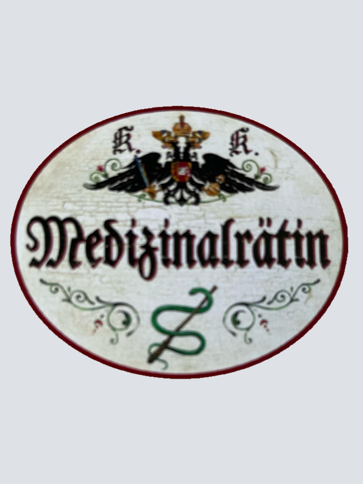 KuK Nostalgie Holzschild Medizinalrätin Medizin Titel Ehrentitel Beamter Schild