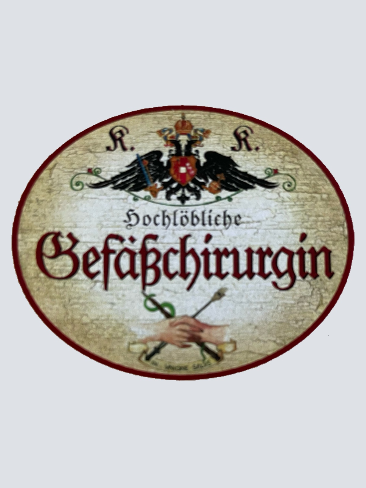 KuK Nostalgie Holzschild Hochlöbliche Gefäßchirurgin Gefäßchirurgie Schild