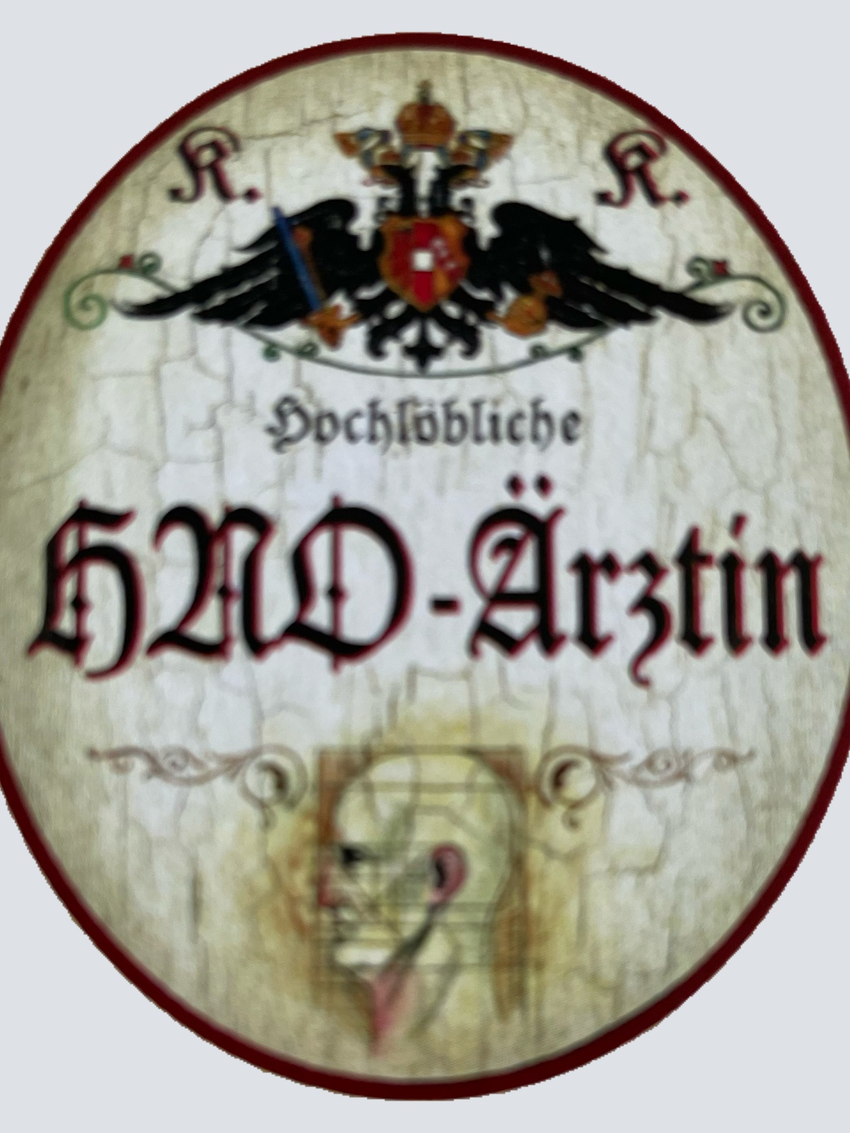 KuK Nostalgie Holzschild Hochlöbliche HNO-Ärztin Hals Nasen Ohren Ärztin Schild