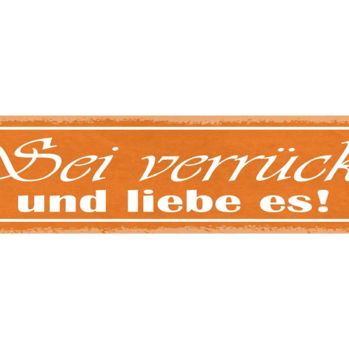 Schild Sei Verrückt Und Liebe Es Einmalig Anders 46 x 10 Blech od. Holz