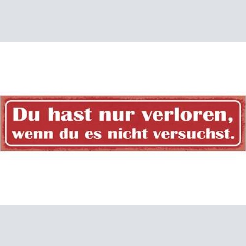 Schild du hast nur verloren wenn du es nicht versuchst 46 x 10 blech od. holz