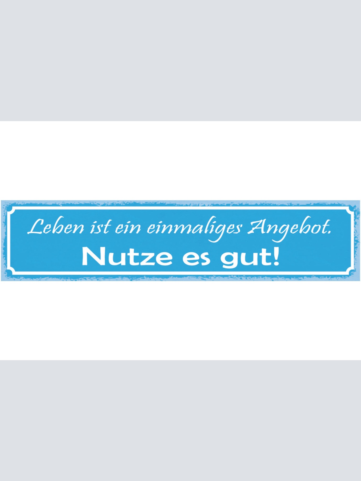 Schild Leben Ist Ein Einmaliges Angebot Nutze Es Gut 46 x 10 Blech od. Holz