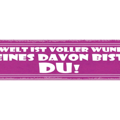 Schild die welt ist voller wunder eines davon bist du liebe 46x10 blech od. holz