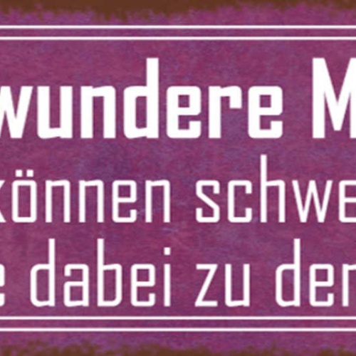 Schild Ich Bewundere Männer Sie Können Schweigen Ohne Dabei Zu Denken 27x10