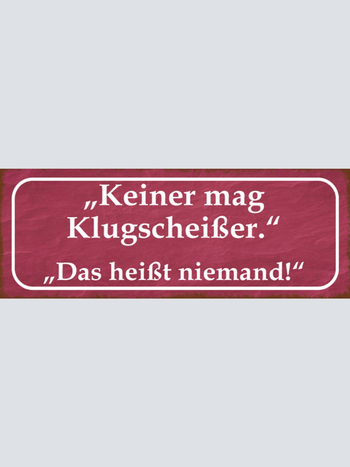 Schild Keiner Mag Klugscheisser Das Heißt Niemand 27x10 Blech od.Holz