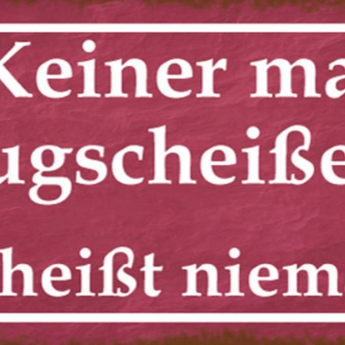 Schild Keiner Mag Klugscheisser Das Heißt Niemand 27x10 Blech od.Holz