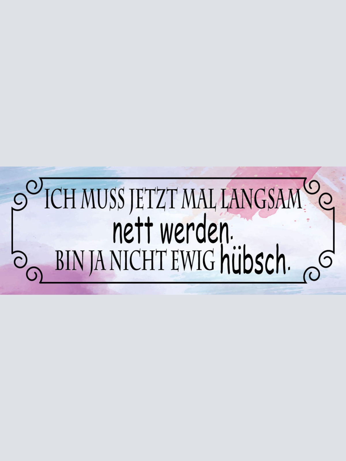 Schild Ich Muss Jetzt Mal Langsam Nett Werden Bin Ja Nicht Ewig Hübsch 27x10