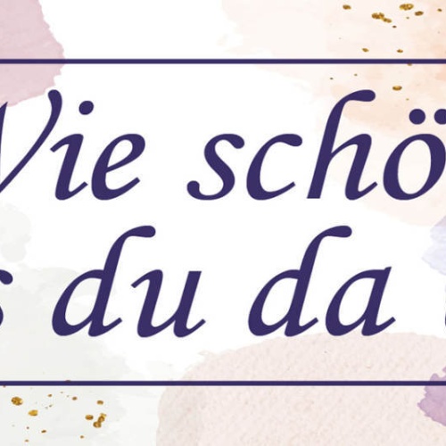 Schild Wie Schön Dass Du Da Bist Liebe Freunde Freundschaft 27x10 Blech od.Holz