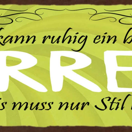 Schild Man Kann Ruhig Ein Bisschen Irre Sein Es Muss Nur Stil Haben 27x10