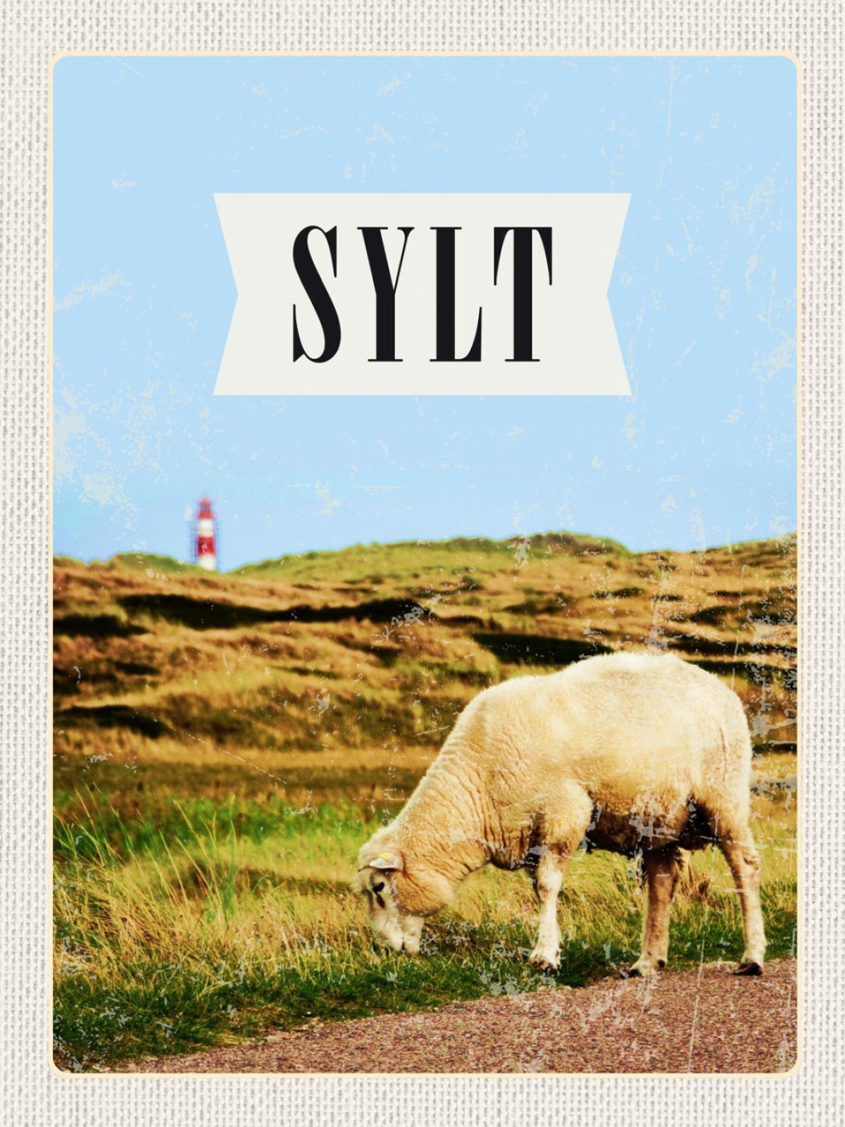 Schild Sylt Insel Schaf Leuchtturm Ostfriesland D 12x18 20x30 30x40 Blech/Holz