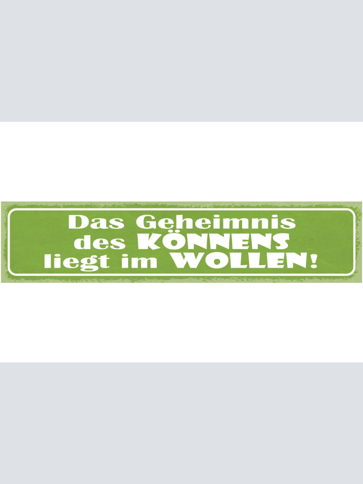 Schild Das Geheimnis Des Könnens Liegt Im Wollen 46 x 10 Blech od. Holz