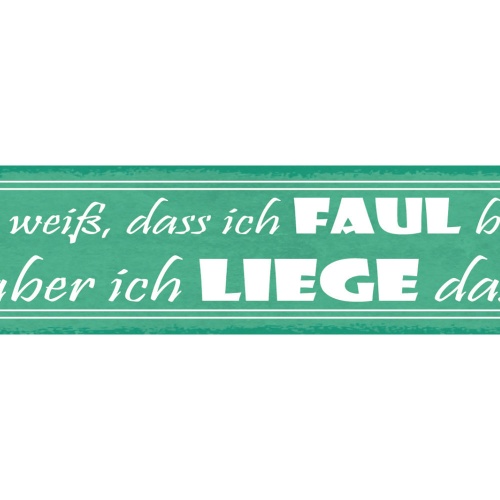 Schild Ich Weiss Das Ich Faul Bin Aber Ich Liege Dazu 46 x 10 Blech od. Holz