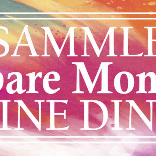 Schild Sammle Kostbare Momente Keine Dinge Erinnerungen 27x10 Blech od.Holz